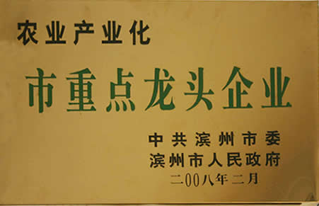 榮譽(yù)資質(zhì)