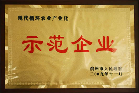 榮譽(yù)資質(zhì)