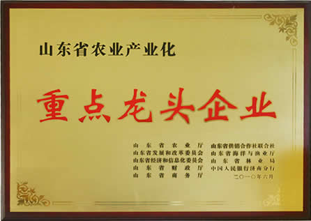 榮譽(yù)資質(zhì)